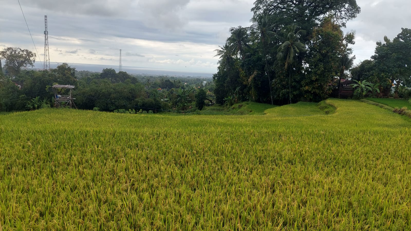 Ocean and mountain view from Sukasada Singaraja Bali land